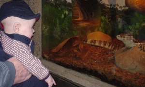 Nate looking at the reptiles up close